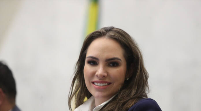 Assembleia aprova projeto de lei que estimula comércio de móveis, itens e roupas antigas ou de segunda mão