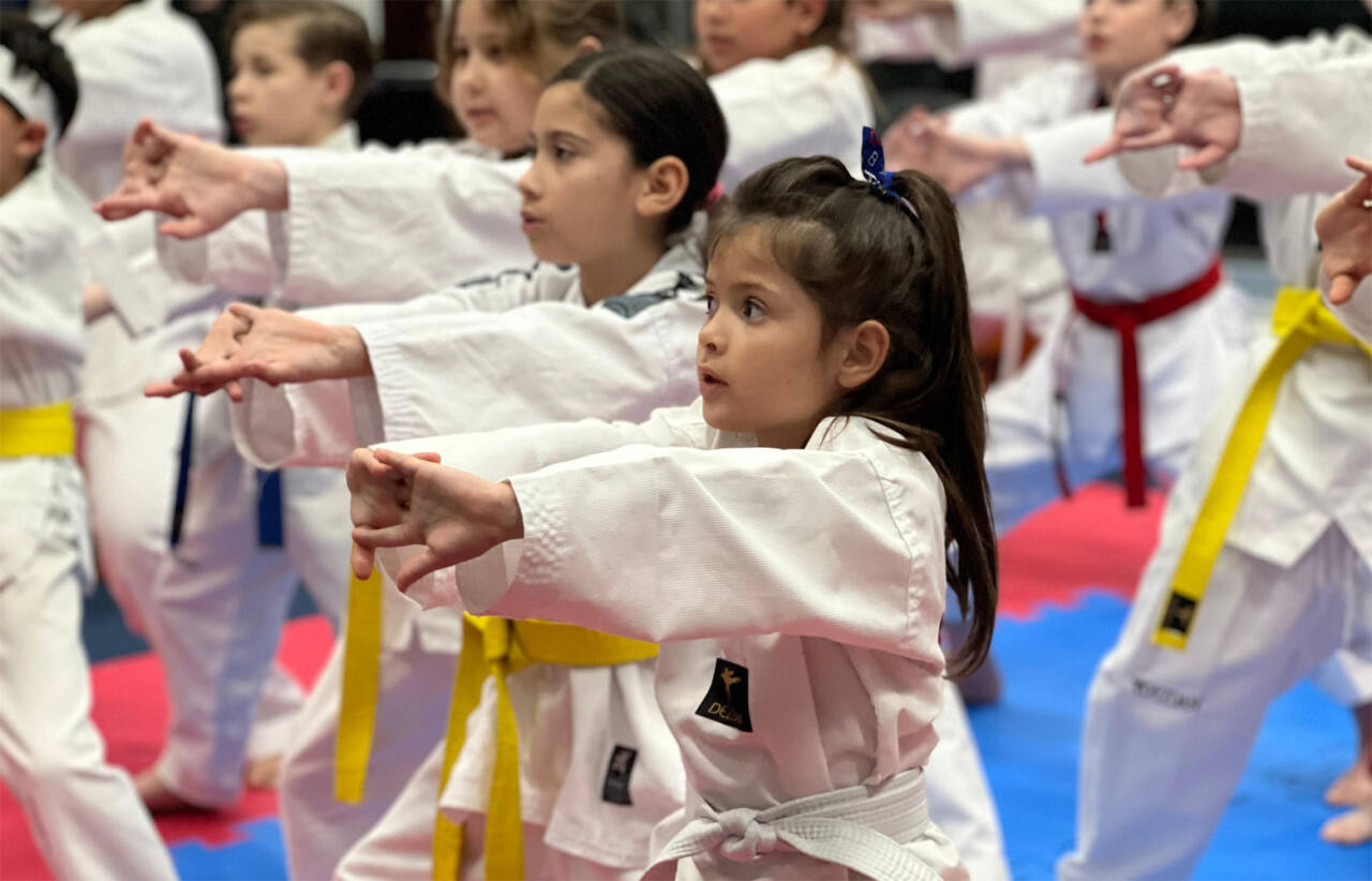 Câmara Municipal celebra o Dia Municipal do Taekwondo com aula especial e homenagem a atletas e professores Câmara Municipal celebra o Dia Municipal do Taekwondo com aula especial e homenagem a atletas e professores
