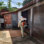 Assaí realiza combate a dengue com mutirão de limpeza na cidade