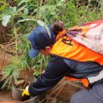 Assaí segue intensificando ações contra a dengue