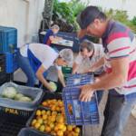 Prefeitura de Assaí prioriza alimentação escolar Prefeitura de Assaí prioriza alimentação escolar