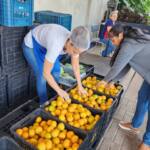 Prefeitura de Assaí prioriza alimentação escolar Prefeitura de Assaí prioriza alimentação escolar