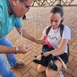 Cães e gatos recebem vacina antirrábica em Assaí