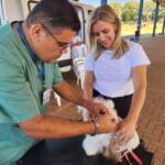 Cães e gatos recebem vacina antirrábica em Assaí