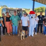 Cães e gatos recebem vacina antirrábica em Assaí