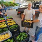 Alimentação escolar de qualidade todos os dias Alimentação escolar de qualidade todos os dias