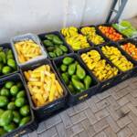 Alimentação escolar de qualidade todos os dias Alimentação escolar de qualidade todos os dias