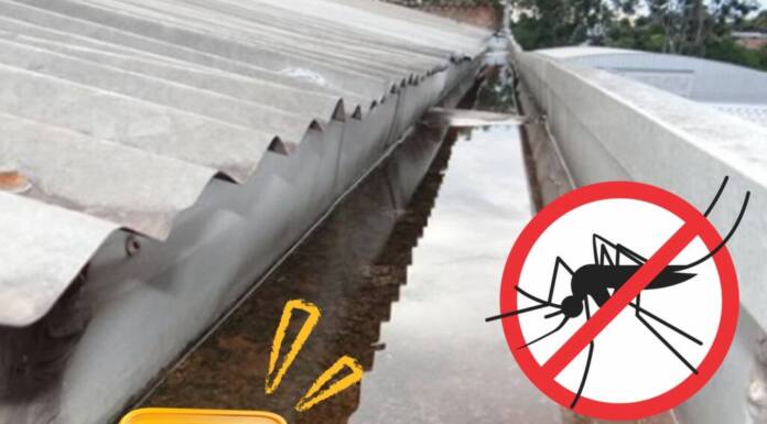 Calha entupida também é criadouro de dengue
