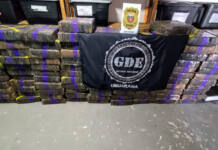 Primeira grande apreensão do ano: PCPR localiza 1,1 tonelada de maconha em Umuarama Foto: PCPR
