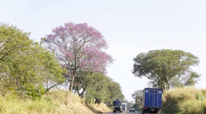 Confira 5 dicas para uma viagem tranquila nas férias escolares
