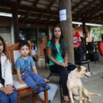 Castramóvel: Prefeitura de Guarapuava promove primeiras castrações de cães e gatos de 2024 nesta quinta-feira, 4 de abril: