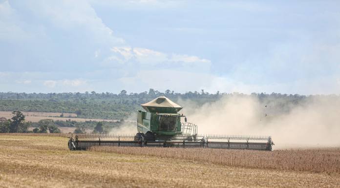 El Niño reforça necessidade de manejo estratégico e regionalizado para a safra 2026/2027