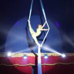 Prefeitura de Guarapuava promove apresentação gratuita de circo para crianças e pessoas idosas do Município