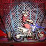 Prefeitura de Guarapuava promove apresentação gratuita de circo para crianças e pessoas idosas do Município