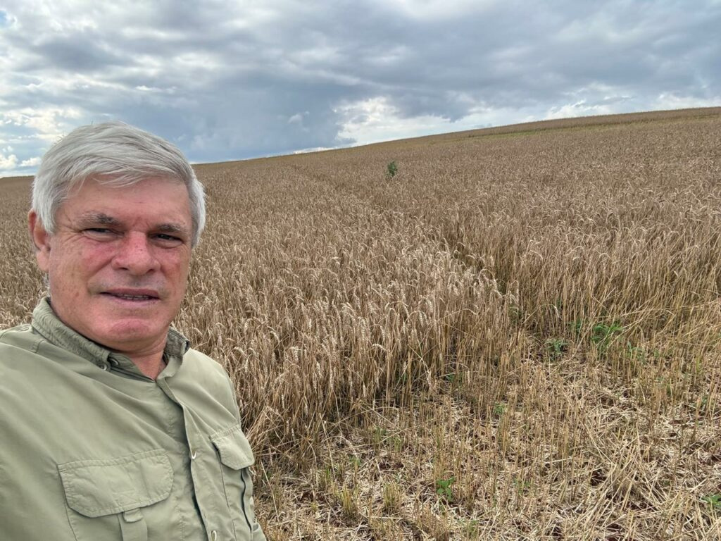 Excesso de chuva atrasa plantio da soja no Paraná