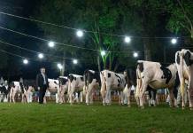 52ª Expoleite recebe 35 mil visitantes em Arapoti (PR)