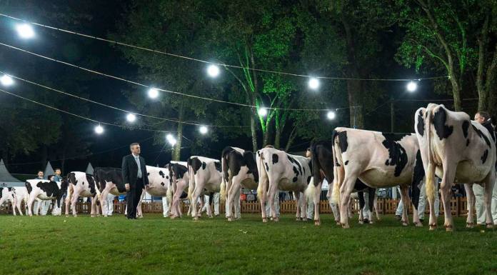 52ª Expoleite recebe 35 mil visitantes em Arapoti (PR)