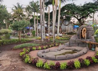 Fazendinha da Expoingá aproxima público urbano da produção agrícola Página Inicial