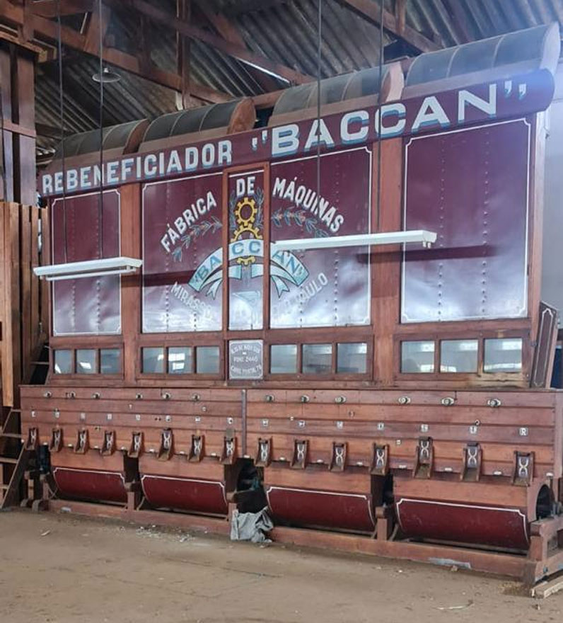 Geada-Negra Divulgação