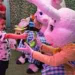 Encerramento da Páscoa Fantástica alegra e diverte famílias em Guarapuava Encerramento da Páscoa Fantástica alegra e diverte famílias em Guarapuava