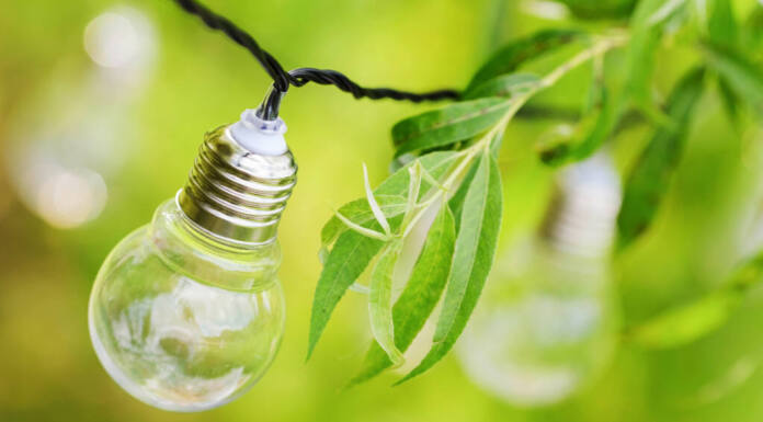Iluminação natural e conforto térmico ajudam a economizar energia