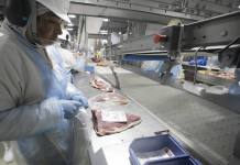 Indústria de alimentos e bebidas do Paraná aposta em tecnologia para ampliar produtividade