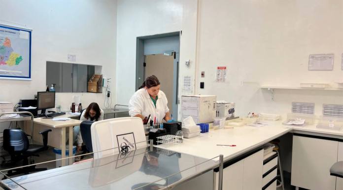 Paraná reduz tempo do diagnóstico de febre amarela em primatas e agiliza vigilância