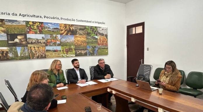 Produção brasileira de azeite de oliva bate recorde e chega a 1,434 milhão de litros