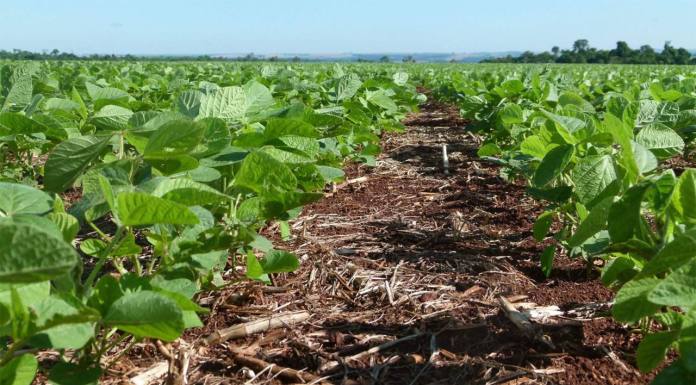 R$ 7,9 bilhões em dívidas aceleram mudanças no crédito para o agronegócio
