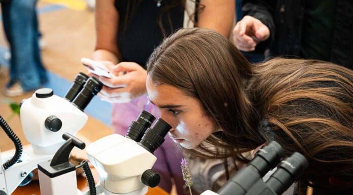 UENP completa 19 anos com 4,1 mil alunos, 456 docentes e referência na região Norte