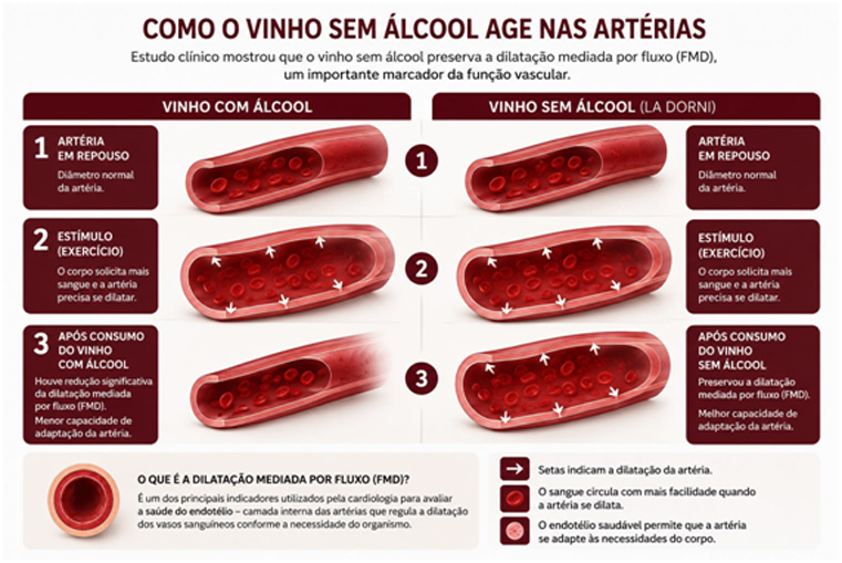 Pesquisa publicada pela Sociedade Brasileira de Cardiologia destaca vinho sem álcool produzido no Norte do Paraná Pesquisa publicada pela Sociedade Brasileira de Cardiologia destaca vinho sem álcool produzido no Norte do Paraná
