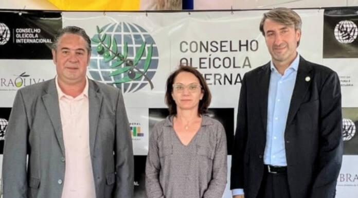 Ibraoliva vai a Espanha reforçar pedido de filiação em Conselho Mundial de Olivicultura