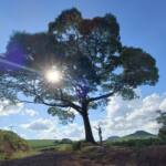 Rio Branco do Ivaí, um refúgio para o seu descanso neste Carnaval.