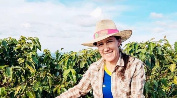 Cafés especiais de mulheres do Norte Pioneiro são expostos em feira no Chile