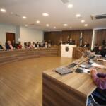 Porco Moura pode ser novo ativo comercial para a agricultura familiar, diz Romanelli