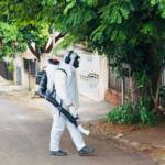 Cornélio Procópio registra queda significativa nos casos de dengue no primeiro trimestre do ano