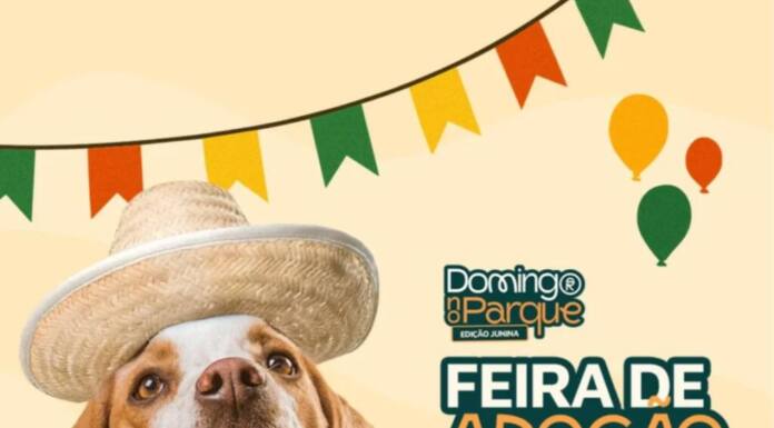 Sociedade Rural do Paraná e CMTU promovem feira de adoção no Domingo no Parque, no próximo dia 15