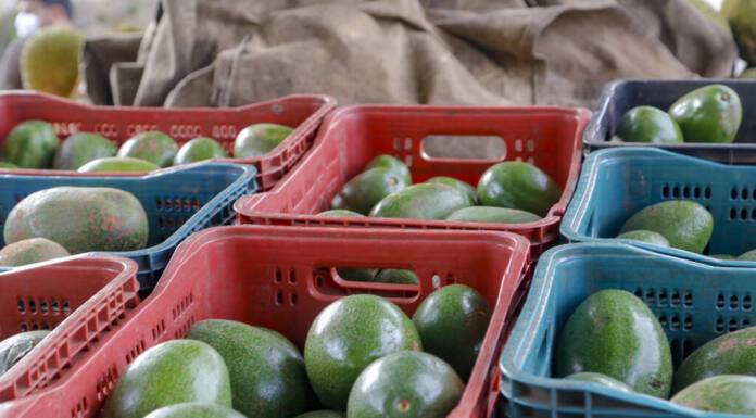 Foto: Gilson Abreu/AEN