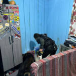 PCPR prende nove pessoas de organização ligada ao tráfico e homicídios em Ortigueira PCPR prende nove pessoas de organização ligada ao tráfico e homicídios em Ortigueira