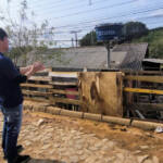 Com ampliação da rede de esgoto, Sanepar começa a visitar imóveis em Piraí do Sul