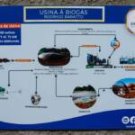 Produção de biogás a partir da suinocultura gera renda extra para produtores do Paraná