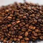 Exportações de café do Paraná têm melhor 1º semestre dos últimos 12 anos