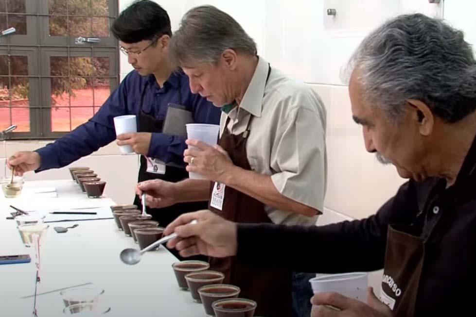 Inscrições para o Concurso Café Qualidade Paraná encerram no dia 30 de setembro Inscrições para o Concurso Café Qualidade Paraná encerram no dia 30 de setembro