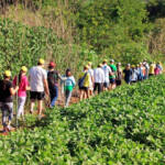 Turismo rural: Estado promove oito Caminhadas da Natureza em julho