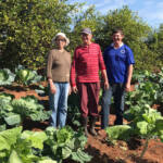 Dia da Agricultura Familiar: IDR-PR fez 155 mil atendimentos a produtores em sete meses