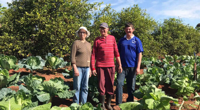 Dia da Agricultura Familiar: IDR-PR fez 155 mil atendimentos a produtores em sete meses