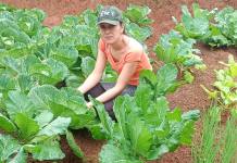 Segurança alimentar e renda: IDR-Paraná implanta hortas domésticas em Campo Largo Foto: IAT