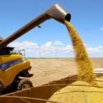 Supermercado do mundo: Paraná exporta alimentos e bebidas para 172 países Supermercado do mundo: Paraná exporta alimentos e bebidas para 172 países