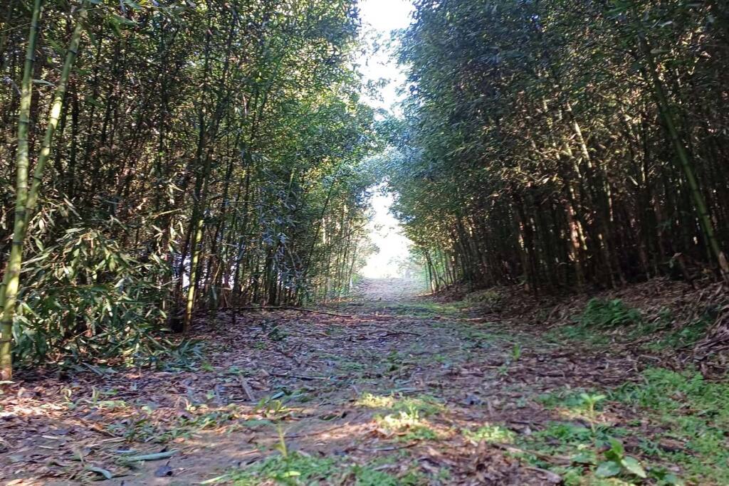 Turismo rural: São José dos Pinhais inaugura Circuito Roça Velha neste domingo