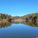 Turismo rural: São José dos Pinhais inaugura Circuito Roça Velha neste domingo